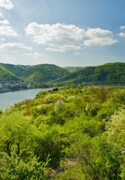 Wunderschöne grüne Landschaft mit Blick auf den Rhein.
