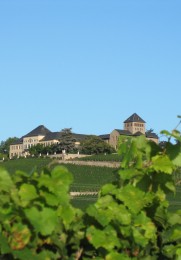 Das Schloss Johannisberg aus der Ferne.