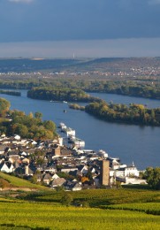 Aussicht auf Rüdesheim am Rhein.