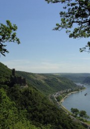 Blick auf Burg Maus und den Rhein vom Bergbaupfad aus.