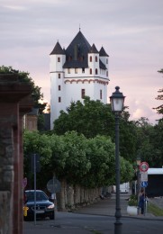 Die Kurfürstliche Burg bei Sonnenuntergang.