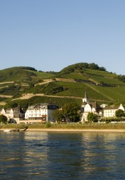 Blick auf Assmannshausen vom Rhein aus.
