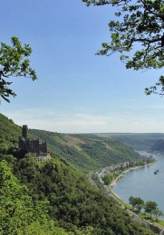 Blick auf Burg Maus und den Rhein vom Bergbaupfad aus.