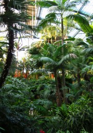 Die Außenansicht auf den Palmengarten Frankfurt.