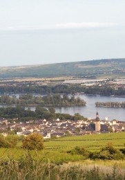 Blick auf Rüdesheim am Rhein.