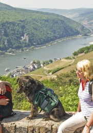 Zwei Wanderinnen mit einem Hund, die die Aussicht auf den Rhein genießen.