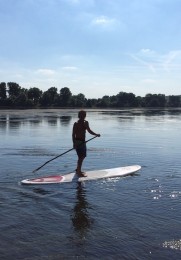 Eine Person beim Standup-Paddling auf dem Rhein.