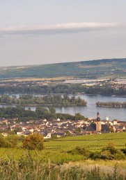 Blick auf Rüdesheim am Rhein.