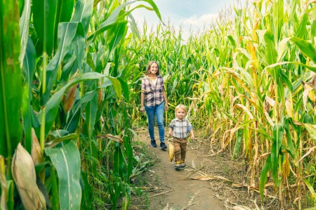 Eine Mutter und ihr Sohn laufen durch ein Maislabyrinth.